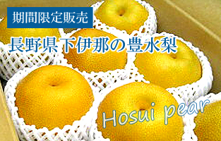 下伊那の豊水梨