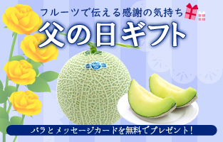 父の日 メロン クラウンメロン アローマメロン DOLCE 贈答 ギフト 内祝 マスクメロン 果物 フルーツギフト 贈答用 果物 温室メロン 静岡 お中元 御中元 敬老の日 お中元 お歳暮 御歳暮 御中元