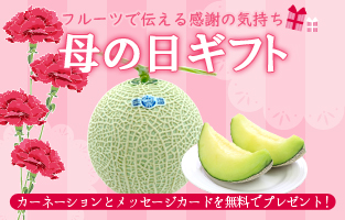 ★ 母の日 ★ メロン クラウンメロン アローマメロン DOLCE 贈答 ギフト 内祝 マスクメロン 果物 フルーツギフト 贈答用 果物 温室メロン 静岡 お中元 御中元 敬老の日 お中元 お歳暮 御歳暮 御中元