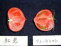 アメーラと比べてみよう