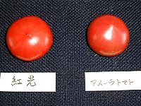 アメーラと比べてみよう