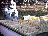 �g���b�N�ŏo��