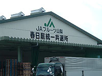 �܂���������