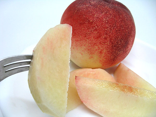 �������������ȏt�����̓�