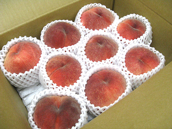 ���������H�ׂ��������j