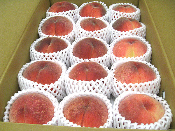 �݂�Ȃł�������H�ׂ����唠